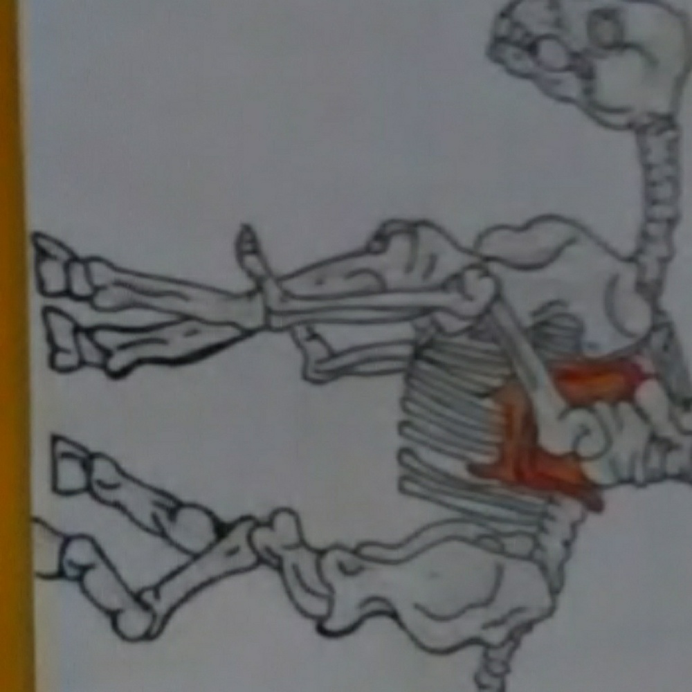 Drawing - Picture 3 of 3